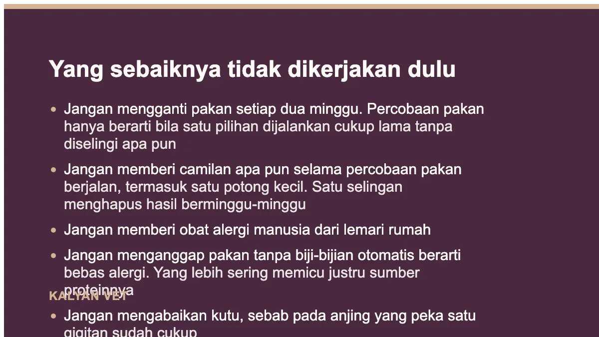 Yang sebaiknya tidak dikerjakan dulu pada Alergi kulit pada anjing: pola yang perlu dikenali sebelum mencoba obat apa pun