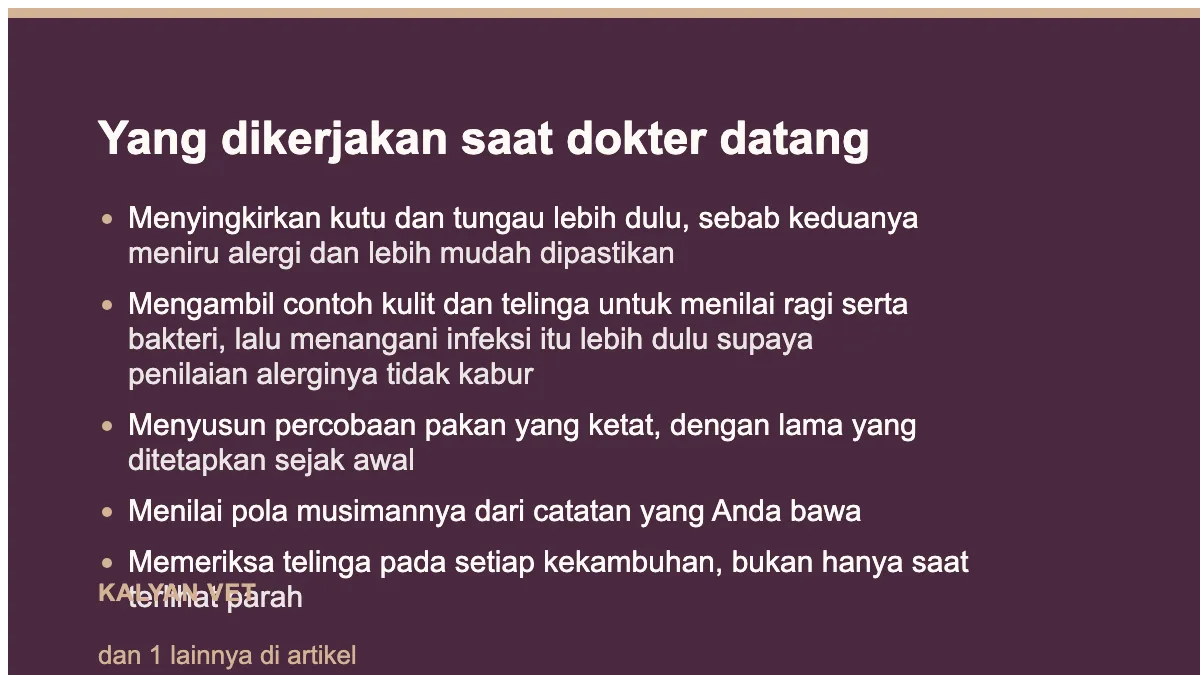 Yang dikerjakan saat dokter datang pada Alergi kulit pada anjing: pola yang perlu dikenali sebelum mencoba obat apa pun