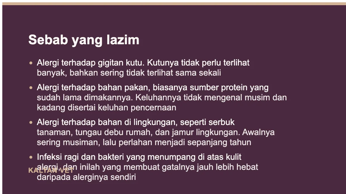 Sebab yang lazim pada Alergi kulit pada anjing: pola yang perlu dikenali sebelum mencoba obat apa pun