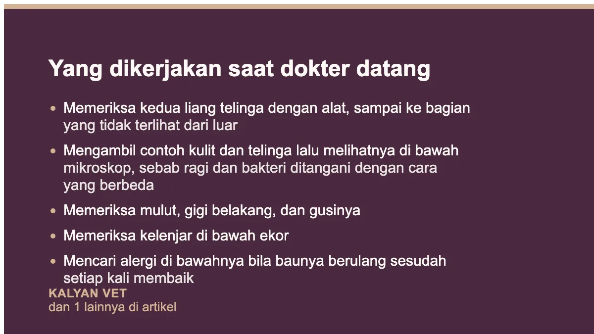 Yang dikerjakan saat dokter datang pada Anjing bau badan walau sudah dimandikan, dan apa yang sebenarnya berbau