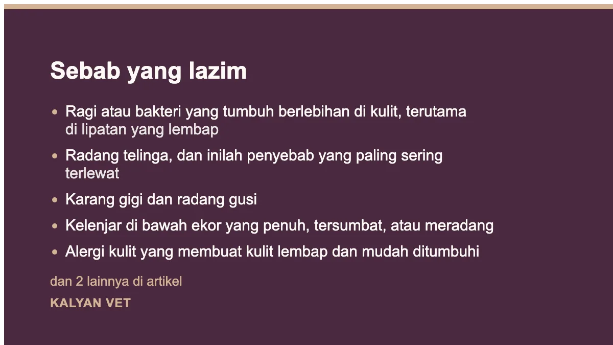 Sebab yang lazim pada Anjing bau badan walau sudah dimandikan, dan apa yang sebenarnya berbau