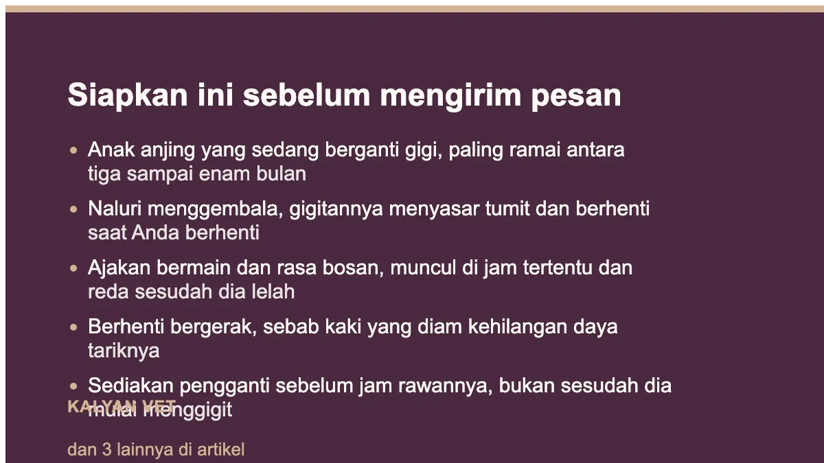 Siapkan ini sebelum mengirim pesan pada Kenapa anjing suka menggigiti kaki manusia, dan kapan itu bukan soal perilaku