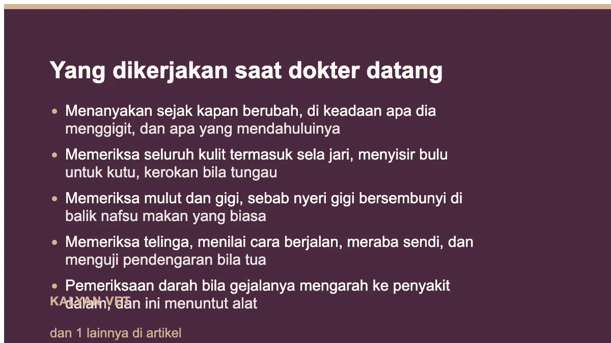 Yang dikerjakan saat dokter datang pada Kenapa anjing suka menggigiti kaki manusia, dan kapan itu bukan soal perilaku