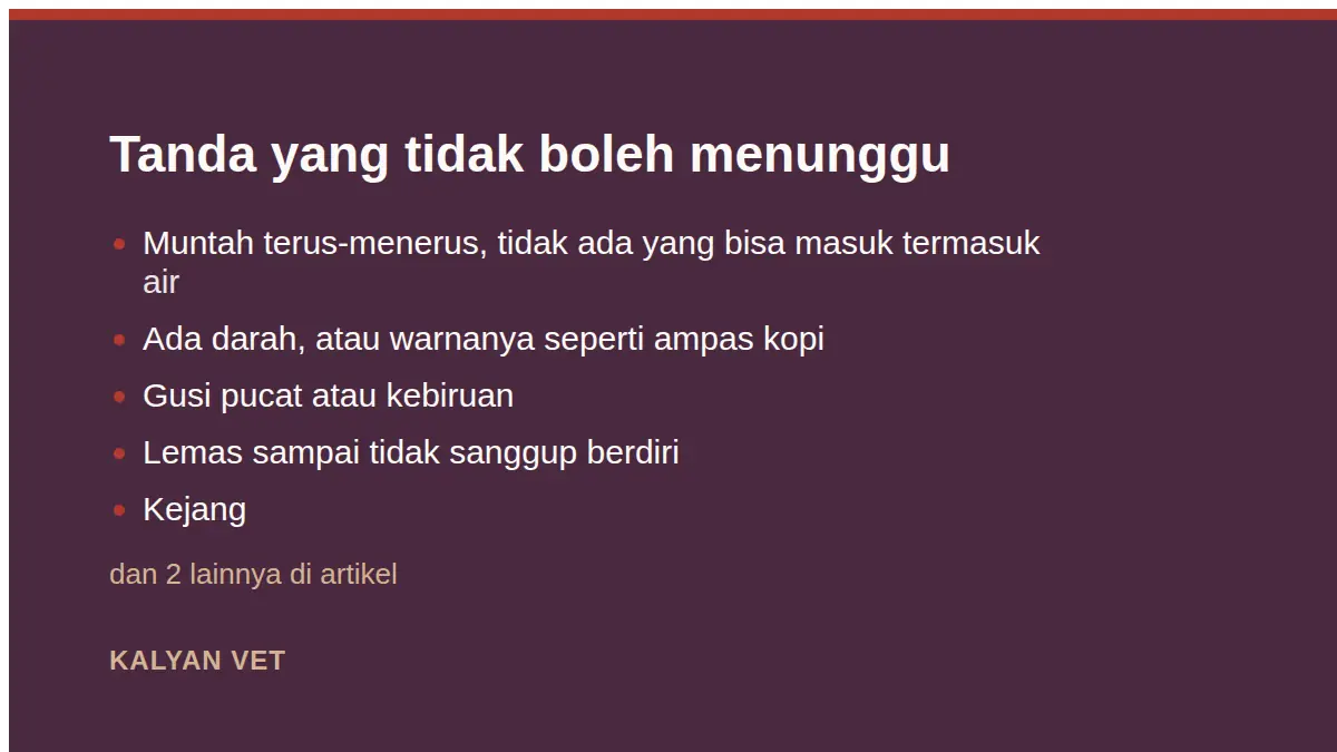 Tanda yang tidak boleh menunggu pada Anjing muntah, dan bedanya dengan muntah pada kucing