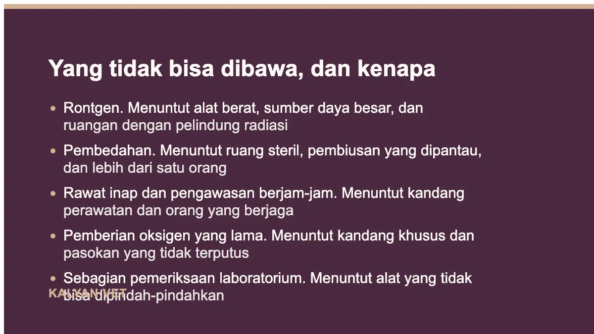 Yang tidak bisa dibawa, dan kenapa pada Apa saja yang dibawa dokter saat datang ke rumah