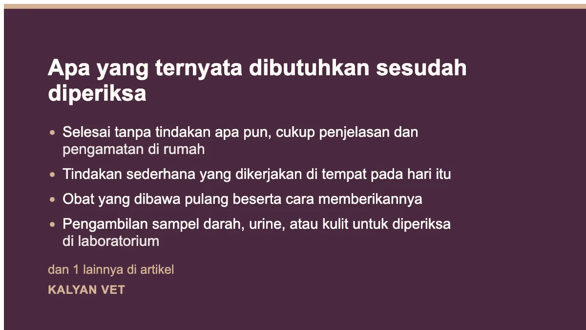 Apa yang ternyata dibutuhkan sesudah diperiksa pada Apa yang menentukan biaya periksa hewan, dan kenapa jawabannya tidak satu angka