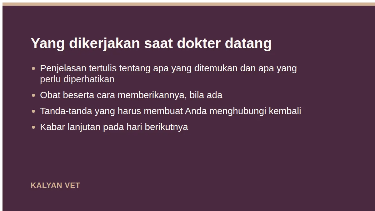 Yang dikerjakan saat dokter datang pada Apa yang terjadi saat dokter datang ke rumah Anda