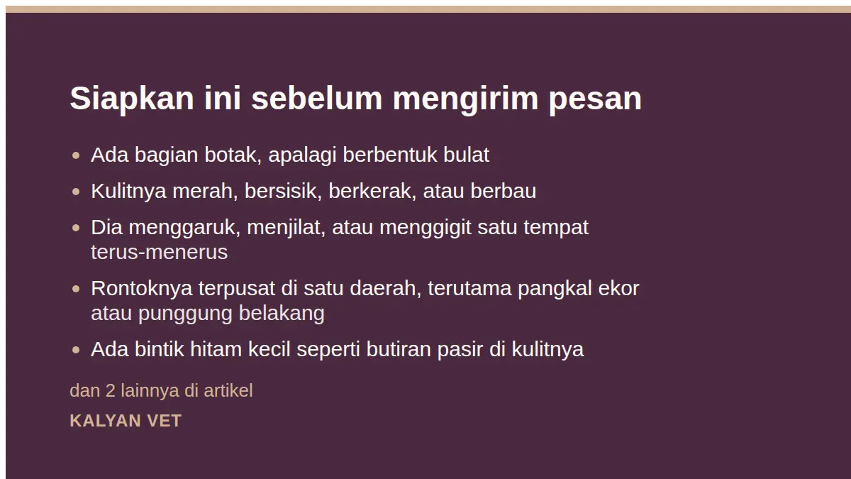 Siapkan ini sebelum mengirim pesan pada Bulu rontok pada kucing: mana yang wajar dan mana yang bukan