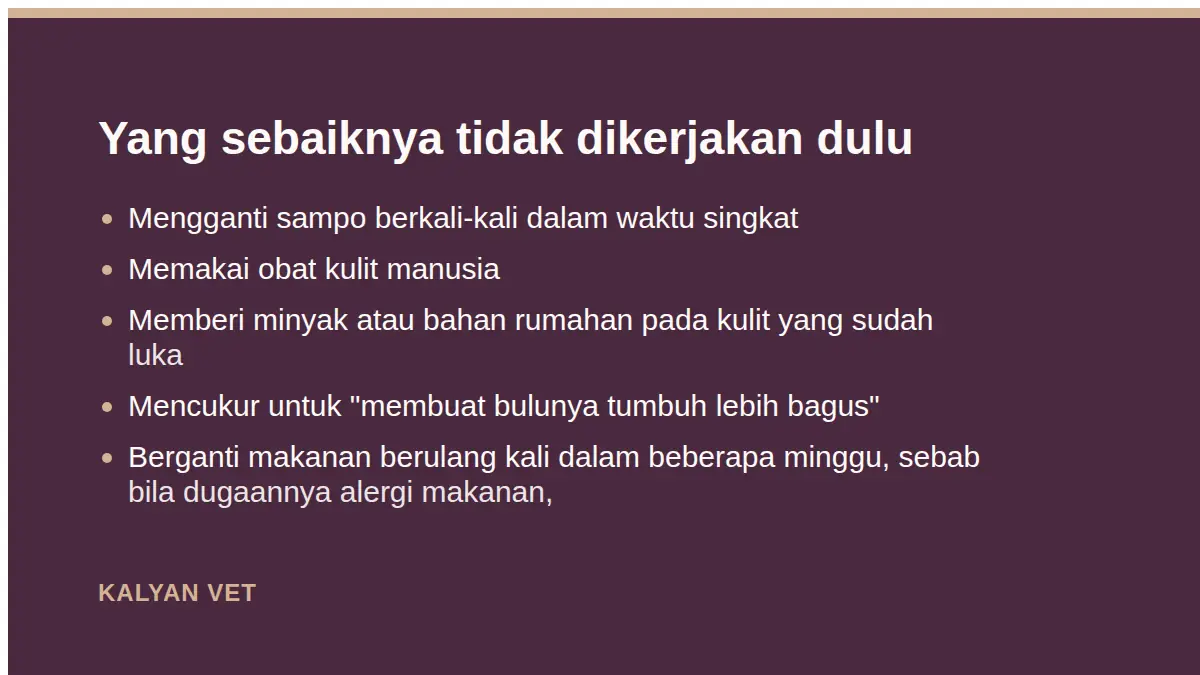 Yang sebaiknya tidak dikerjakan dulu pada Bulu rontok pada kucing: mana yang wajar dan mana yang bukan