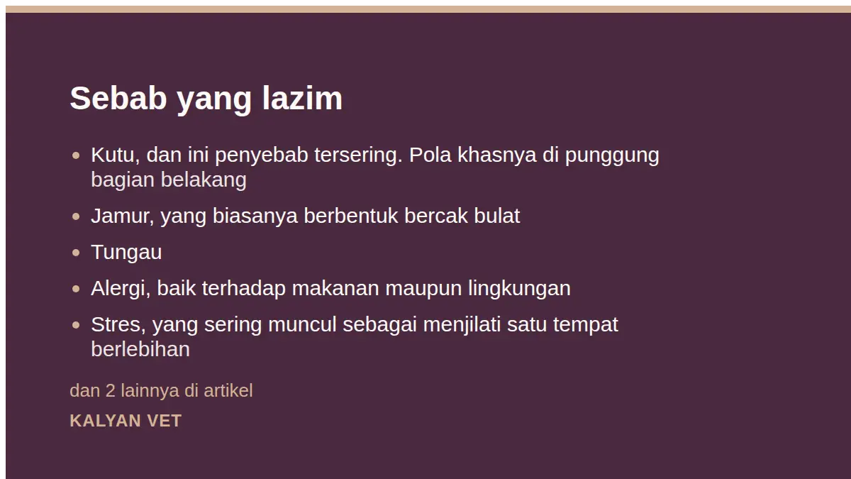 Sebab yang lazim pada Bulu rontok pada kucing: mana yang wajar dan mana yang bukan