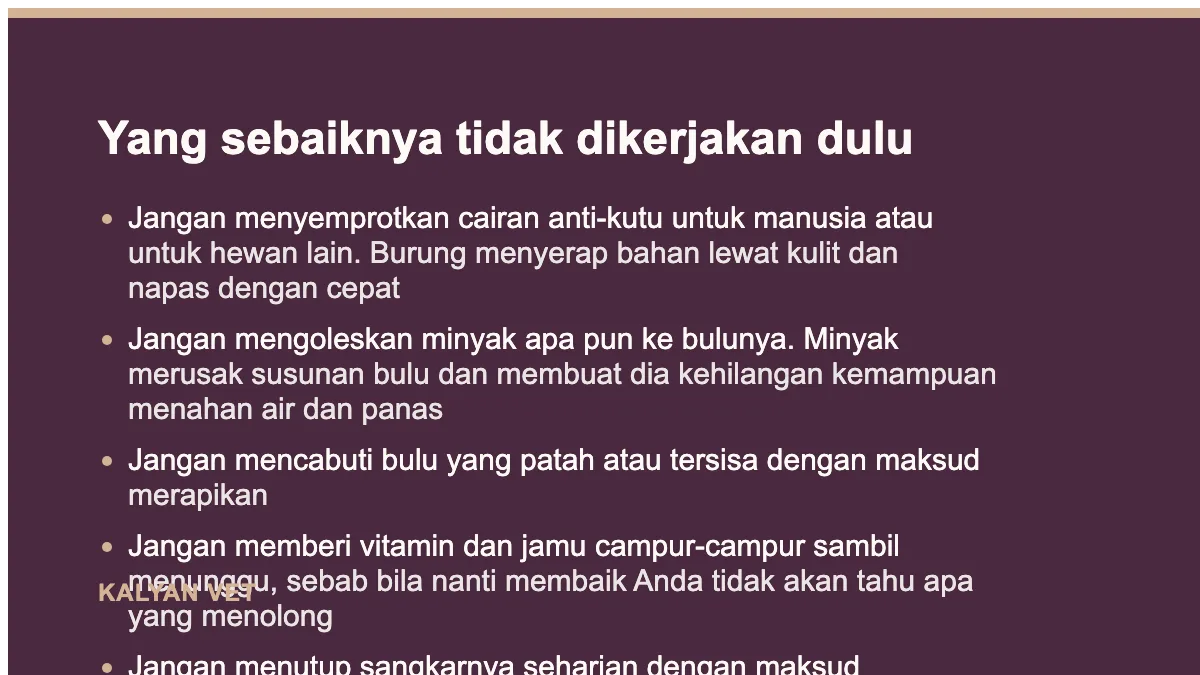 Yang sebaiknya tidak dikerjakan dulu pada Burung bulu rontok di luar masa mabung, membaca polanya