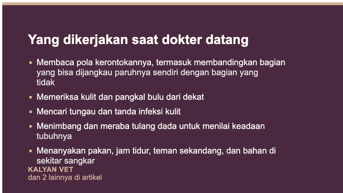 Yang dikerjakan saat dokter datang pada Burung bulu rontok di luar masa mabung, membaca polanya