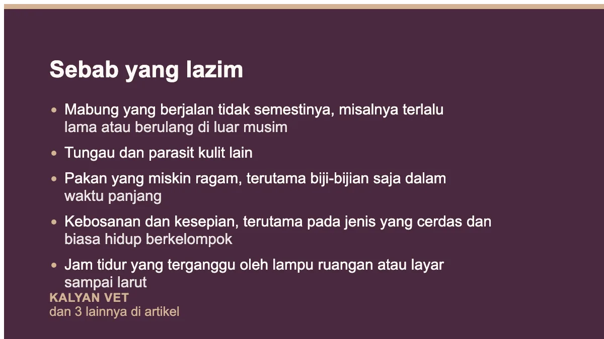 Sebab yang lazim pada Burung bulu rontok di luar masa mabung, membaca polanya