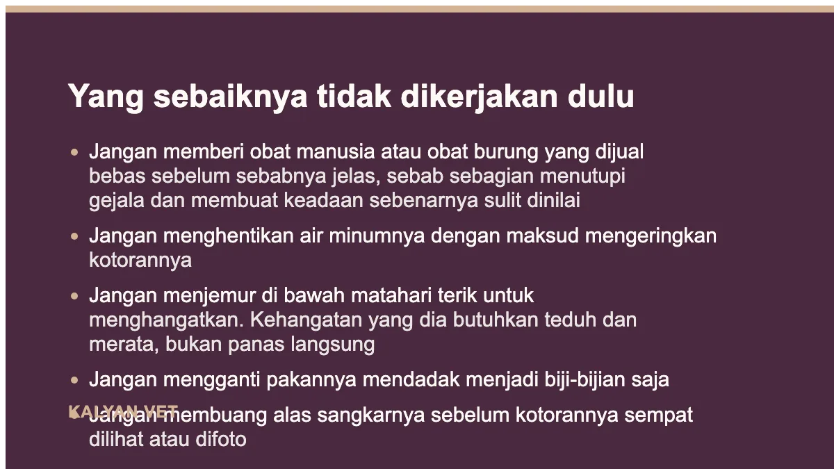 Yang sebaiknya tidak dikerjakan dulu pada Burung mencret, dan kenapa sebagian besarnya bukan mencret