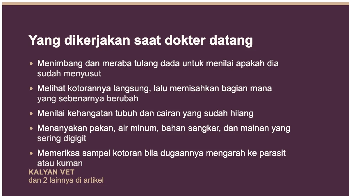 Yang dikerjakan saat dokter datang pada Burung mencret, dan kenapa sebagian besarnya bukan mencret