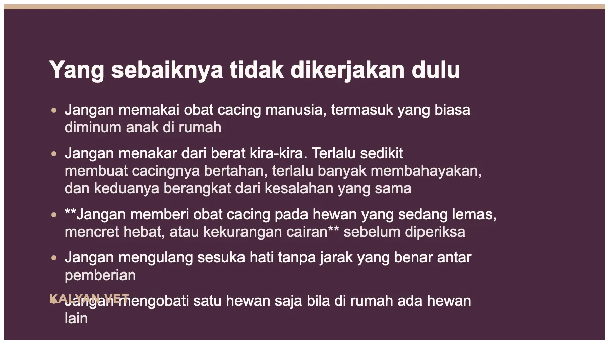 Yang sebaiknya tidak dikerjakan dulu pada Cacingan pada anjing dan kucing, dan kenapa sekali minum obat sering tidak cukup