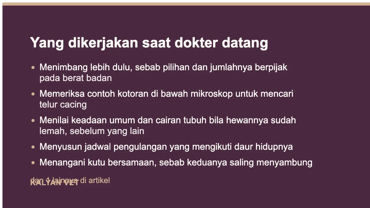 Yang dikerjakan saat dokter datang pada Cacingan pada anjing dan kucing, dan kenapa sekali minum obat sering tidak cukup