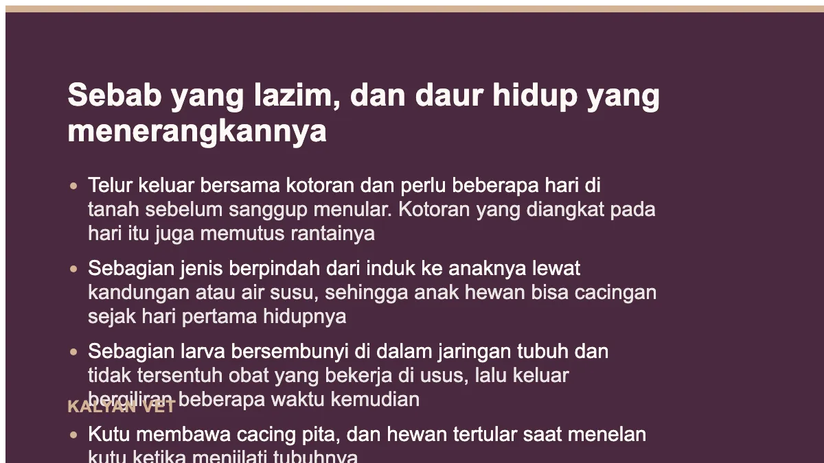 Sebab yang lazim, dan daur hidup yang menerangkannya pada Cacingan pada anjing dan kucing, dan kenapa sekali minum obat sering tidak cukup