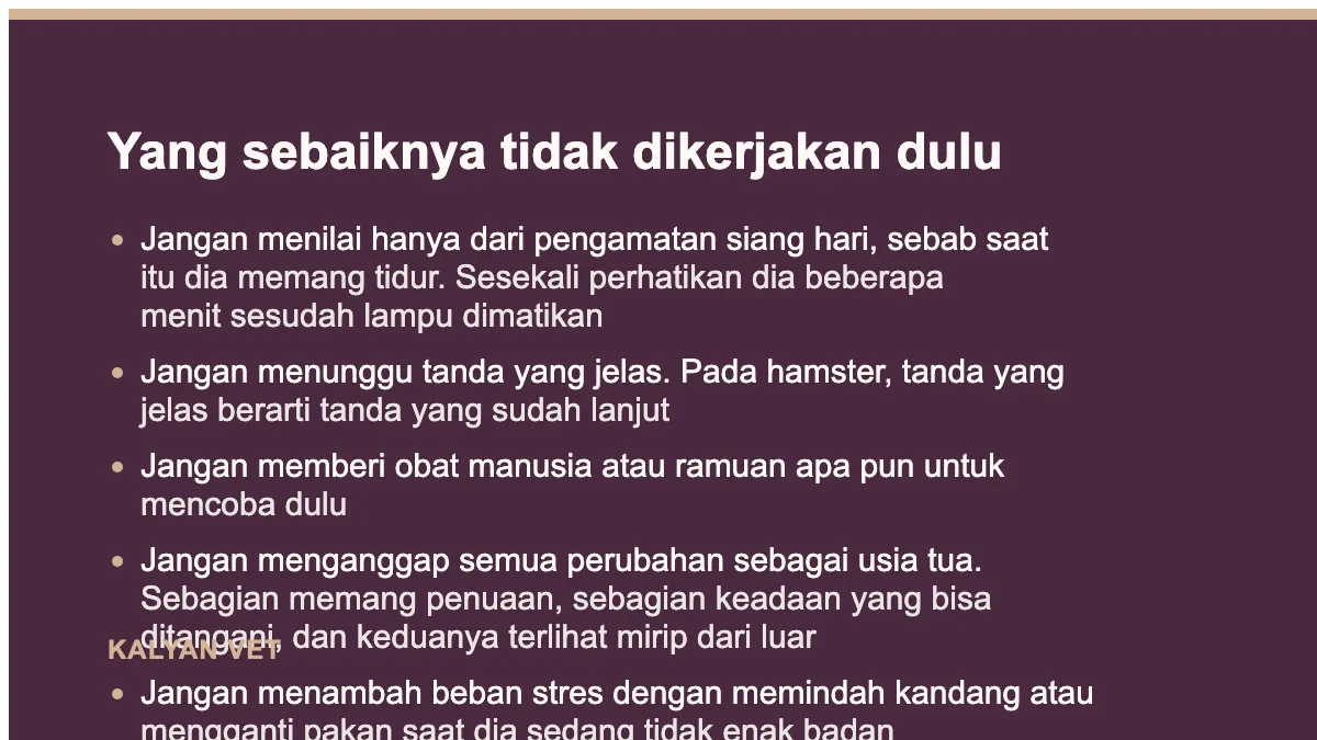 Yang sebaiknya tidak dikerjakan dulu pada Ciri-ciri hamster sakit, yang paling sering terlewat