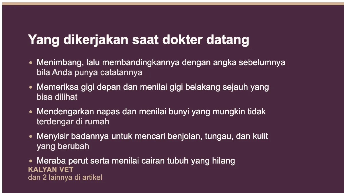 Yang dikerjakan saat dokter datang pada Ciri-ciri hamster sakit, yang paling sering terlewat