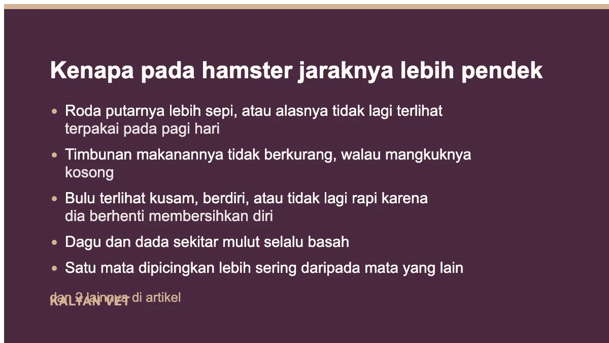 Kenapa pada hamster jaraknya lebih pendek pada Ciri-ciri hamster sakit, yang paling sering terlewat