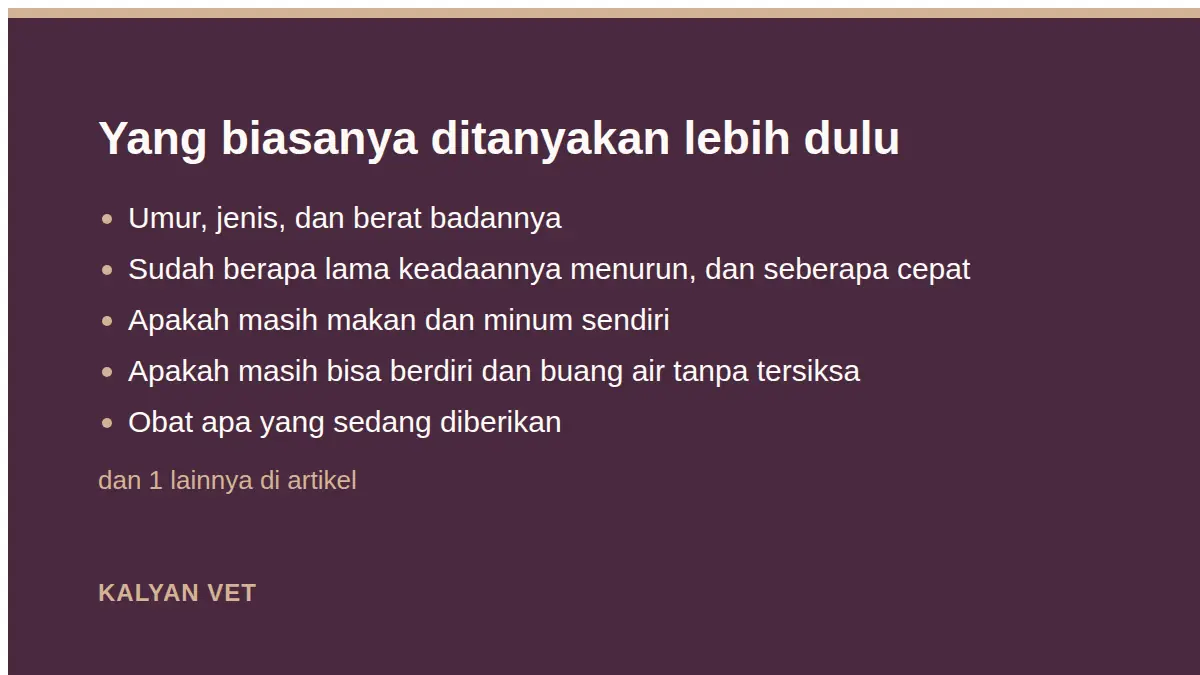 Yang biasanya ditanyakan lebih dulu pada Euthanasia hewan di Jakarta: apa yang sebenarnya terjadi, dan apa yang perlu Anda siapkan