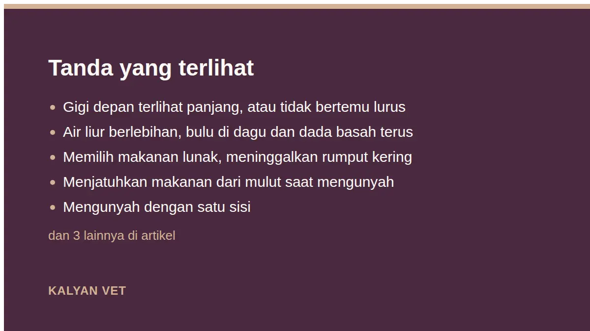 Tanda yang terlihat pada Gigi kelinci tumbuh terus: tanda, akibat, dan penanganannya