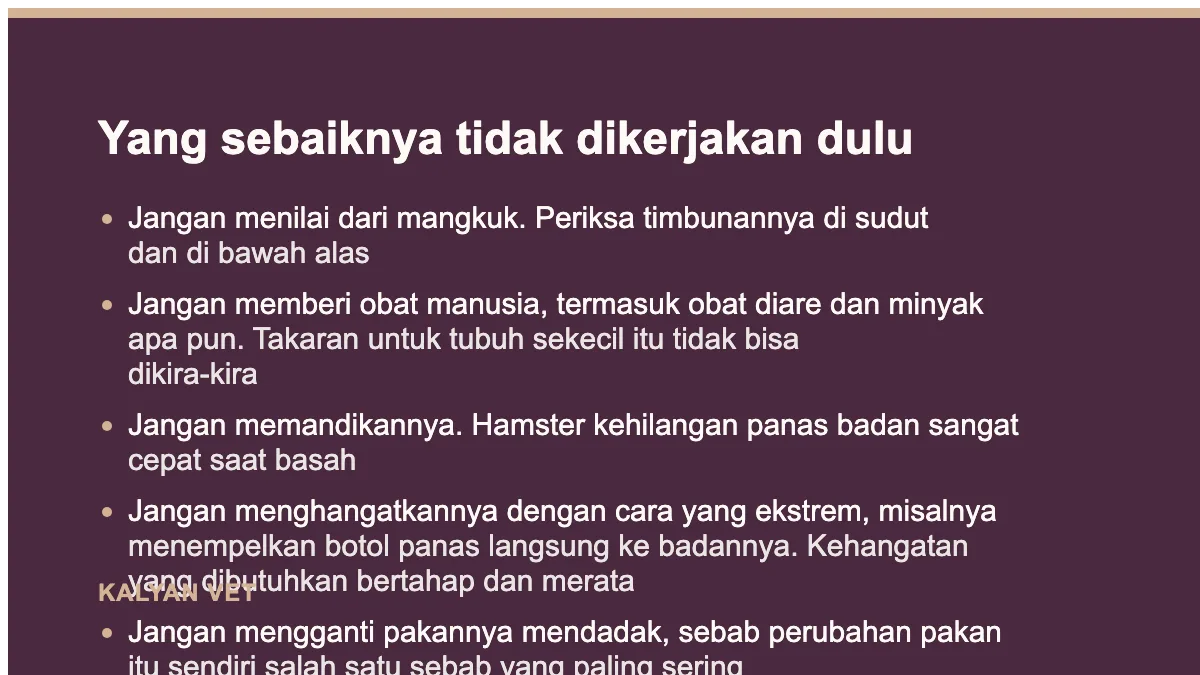 Yang sebaiknya tidak dikerjakan dulu pada Hamster tidak mau makan, dan kenapa hitungannya jam bukan hari