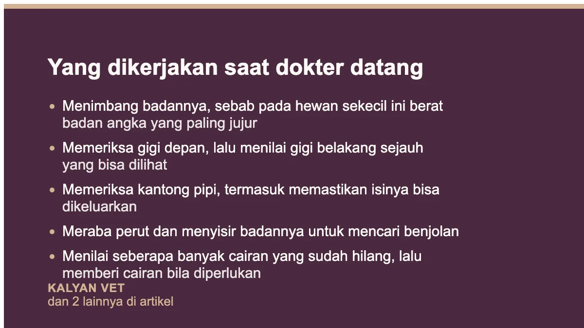 Yang dikerjakan saat dokter datang pada Hamster tidak mau makan, dan kenapa hitungannya jam bukan hari