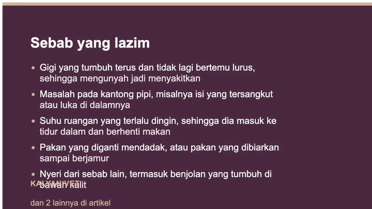 Sebab yang lazim pada Hamster tidak mau makan, dan kenapa hitungannya jam bukan hari