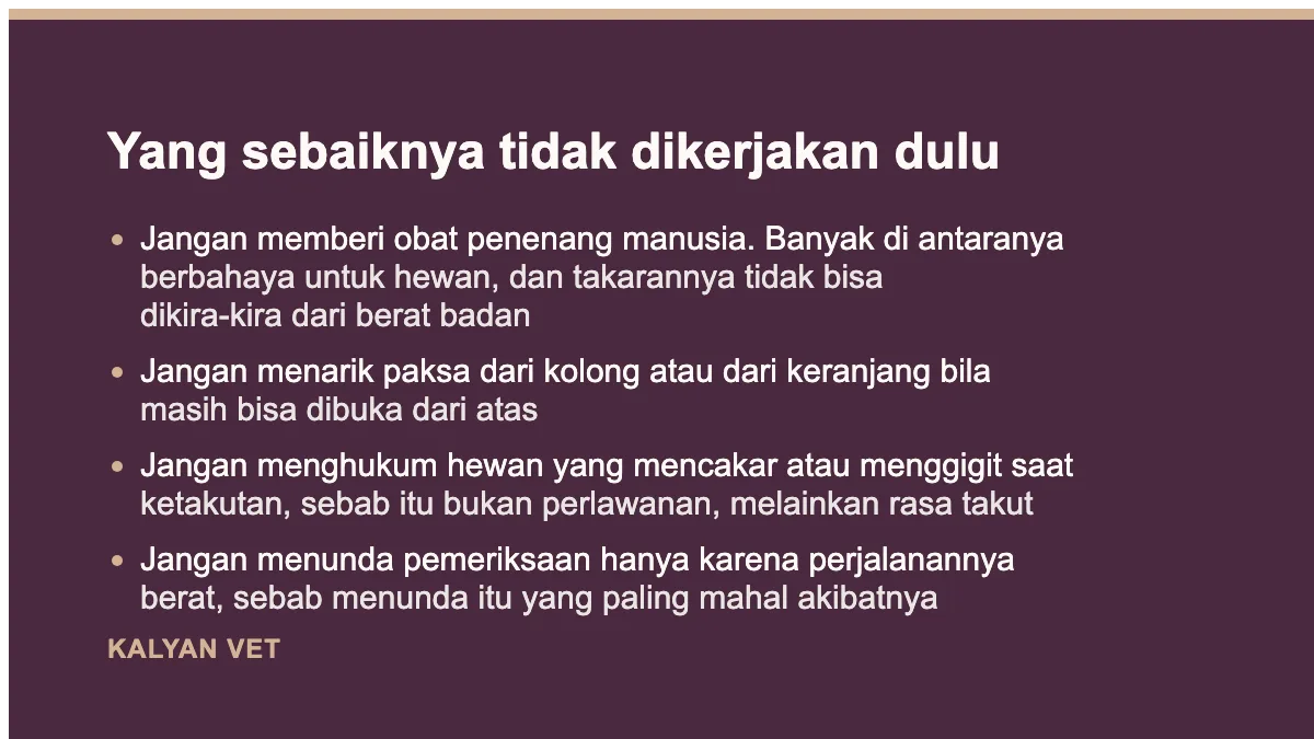 Yang sebaiknya tidak dikerjakan dulu pada Hewan saya panik kalau dibawa ke klinik, apa pilihannya