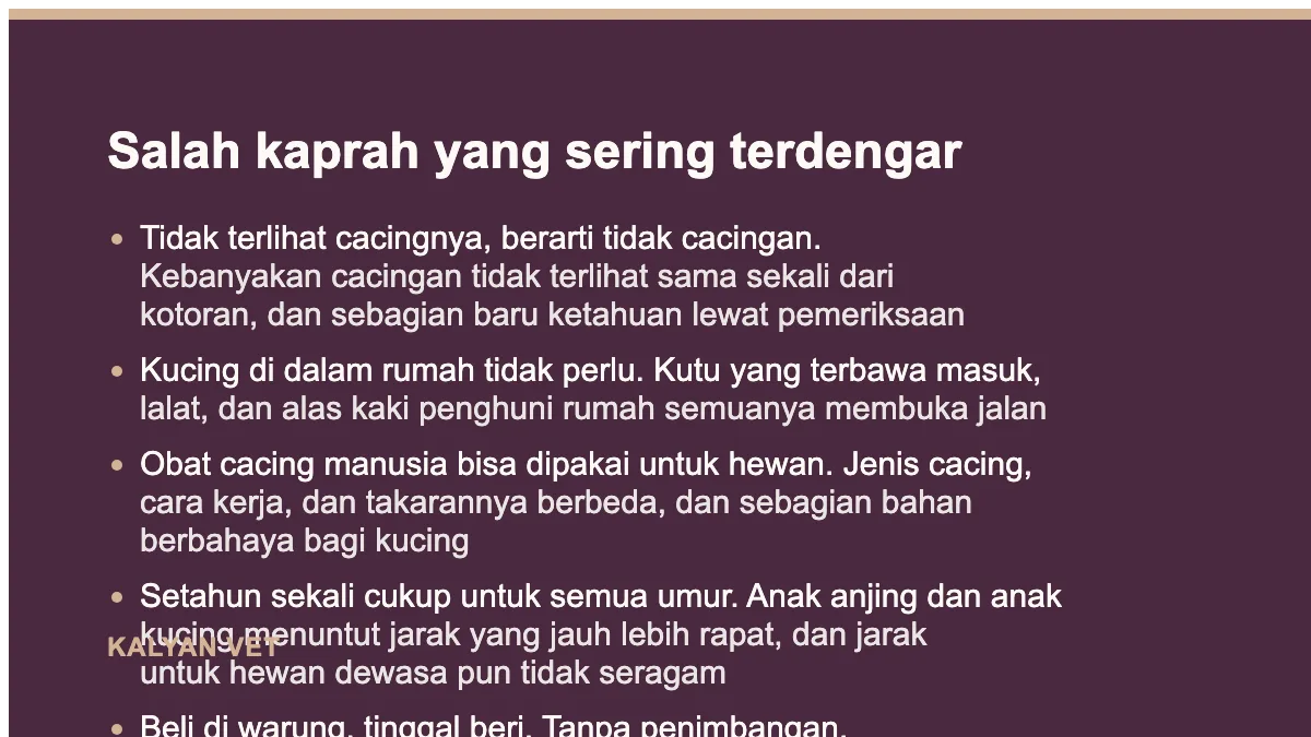 Salah kaprah yang sering terdengar pada Jadwal obat cacing anjing dan kucing
