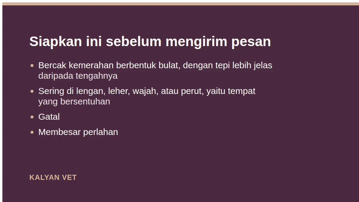 Siapkan ini sebelum mengirim pesan pada Jamur kucing menular ke manusia, dan apa yang perlu dilakukan di rumah