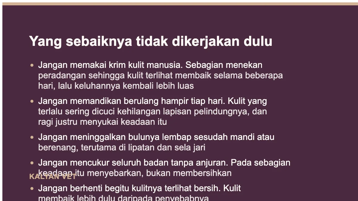 Yang sebaiknya tidak dikerjakan dulu pada Jamur pada anjing: dua hal berbeda yang disebut dengan satu nama