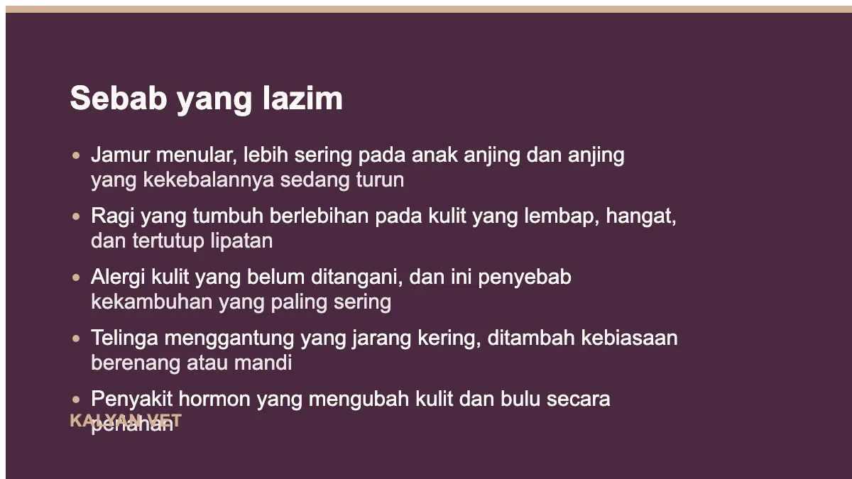 Sebab yang lazim pada Jamur pada anjing: dua hal berbeda yang disebut dengan satu nama