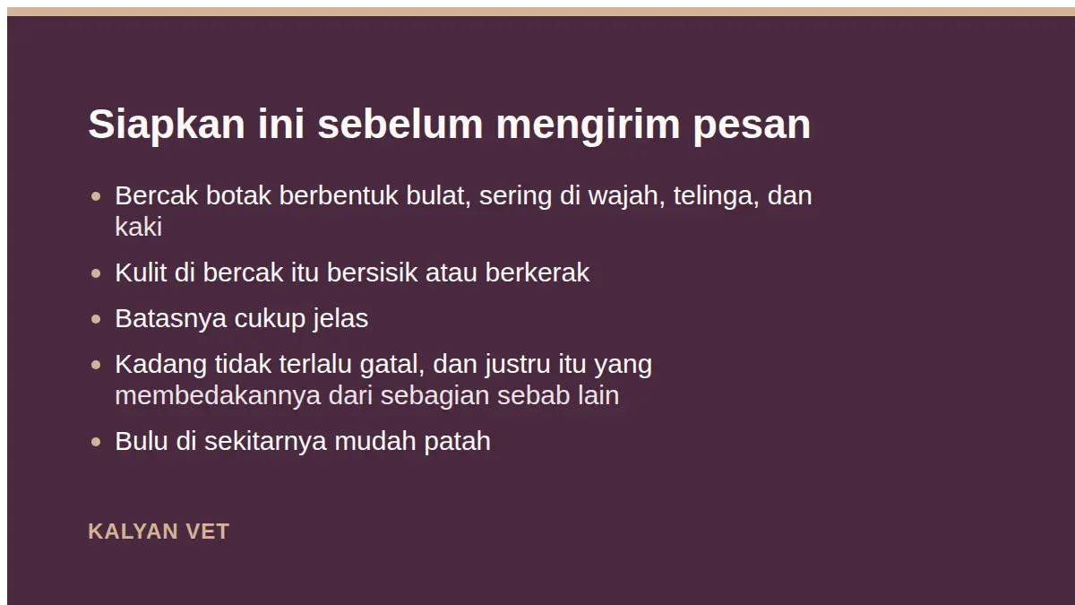 Siapkan ini sebelum mengirim pesan pada Jamur pada kucing: mengenalinya, dan kenapa sering kambuh