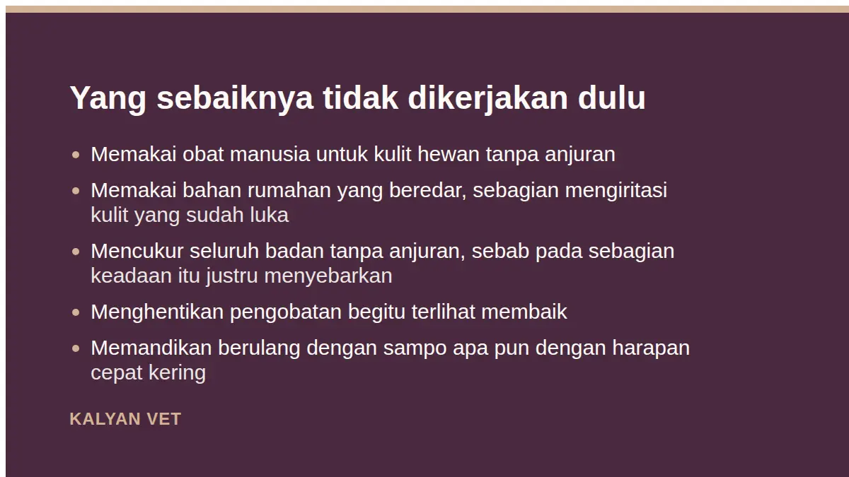 Yang sebaiknya tidak dikerjakan dulu pada Jamur pada kucing: mengenalinya, dan kenapa sering kambuh