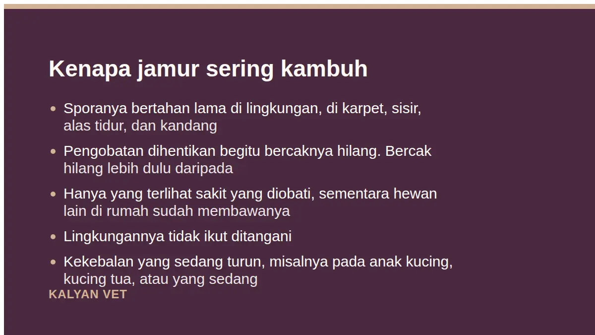 Kenapa jamur sering kambuh pada Jamur pada kucing: mengenalinya, dan kenapa sering kambuh