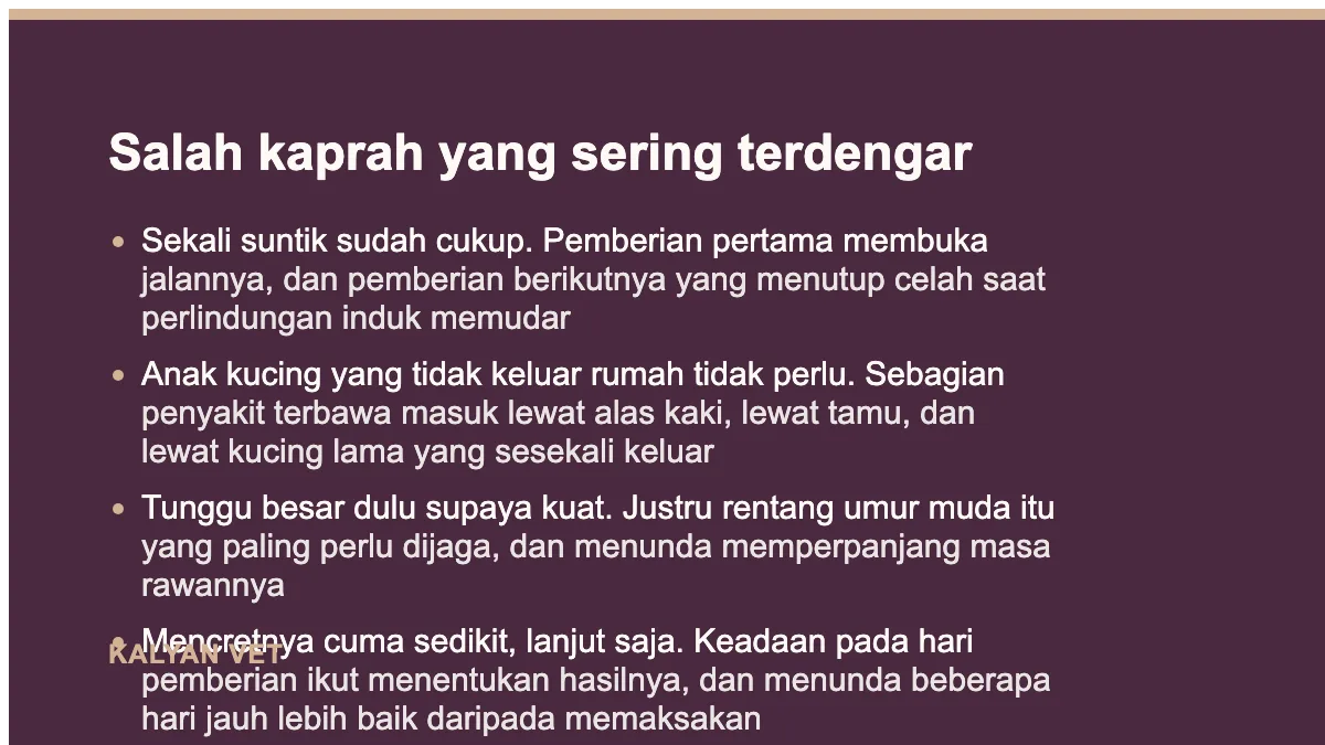 Salah kaprah yang sering terdengar pada Kapan anak kucing mulai vaksin