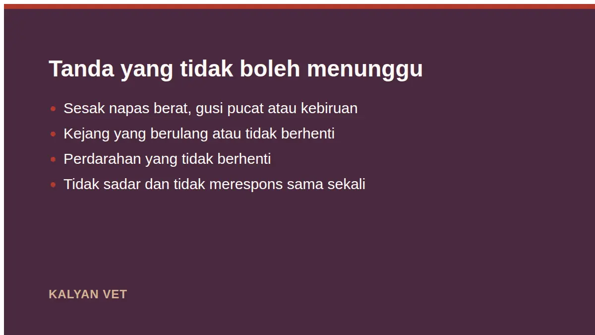 Tanda yang tidak boleh menunggu pada Kapan euthanasia menjadi pilihan yang paling berbelas kasih