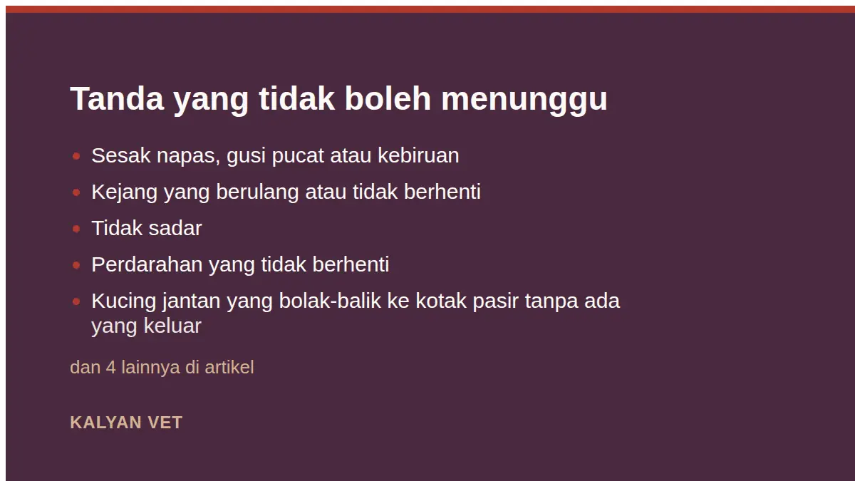 Tanda yang tidak boleh menunggu pada Kapan hewan perlu dibawa ke klinik, dan kapan cukup diperiksa di rumah