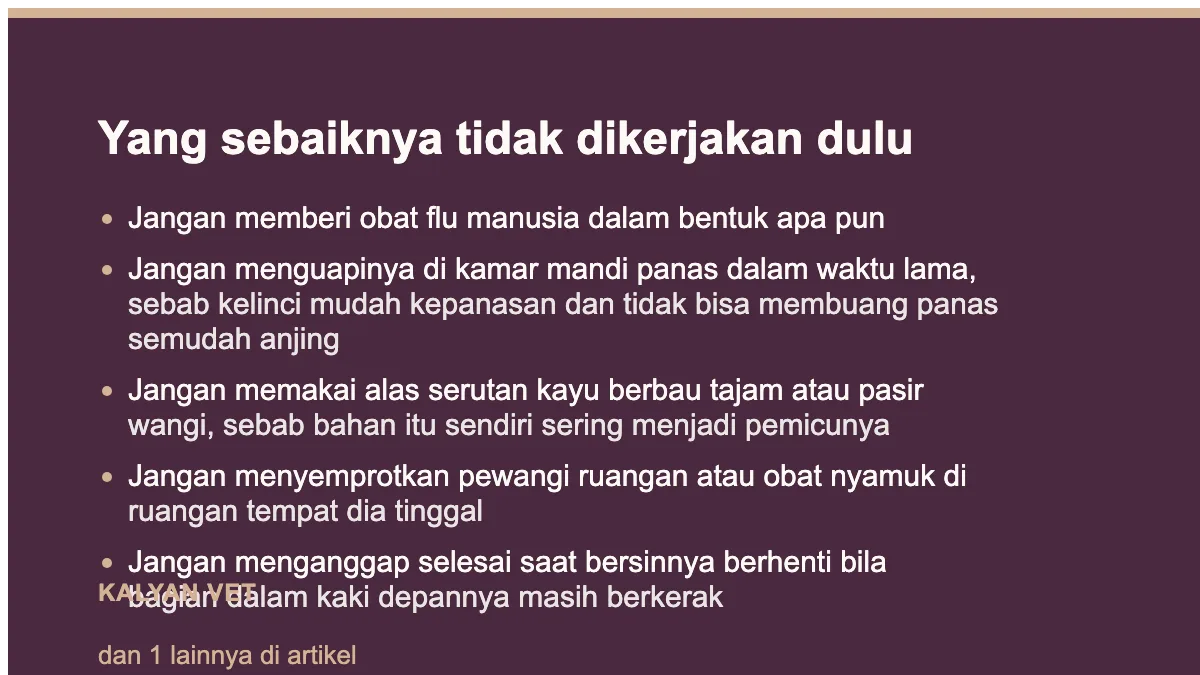 Yang sebaiknya tidak dikerjakan dulu pada Kelinci bersin dan pilek, dan petunjuk yang tersimpan di kaki depannya