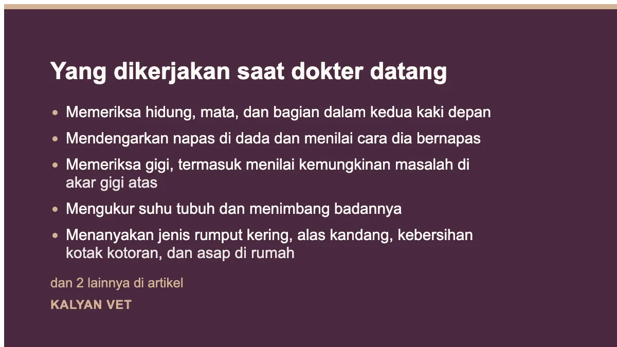 Yang dikerjakan saat dokter datang pada Kelinci bersin dan pilek, dan petunjuk yang tersimpan di kaki depannya