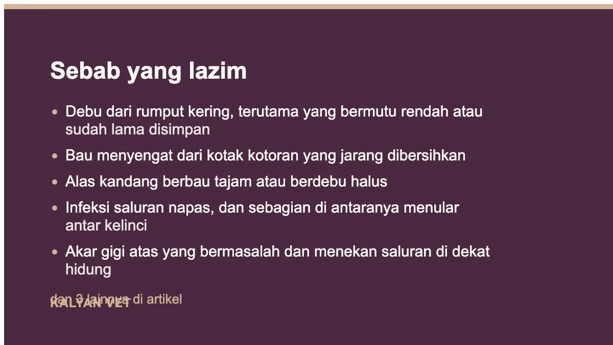 Sebab yang lazim pada Kelinci bersin dan pilek, dan petunjuk yang tersimpan di kaki depannya