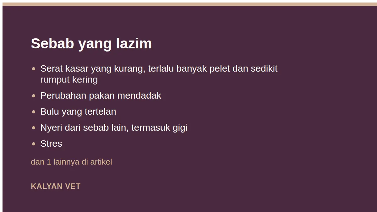 Sebab yang lazim pada Kelinci kembung, kenapa ini gawat darurat