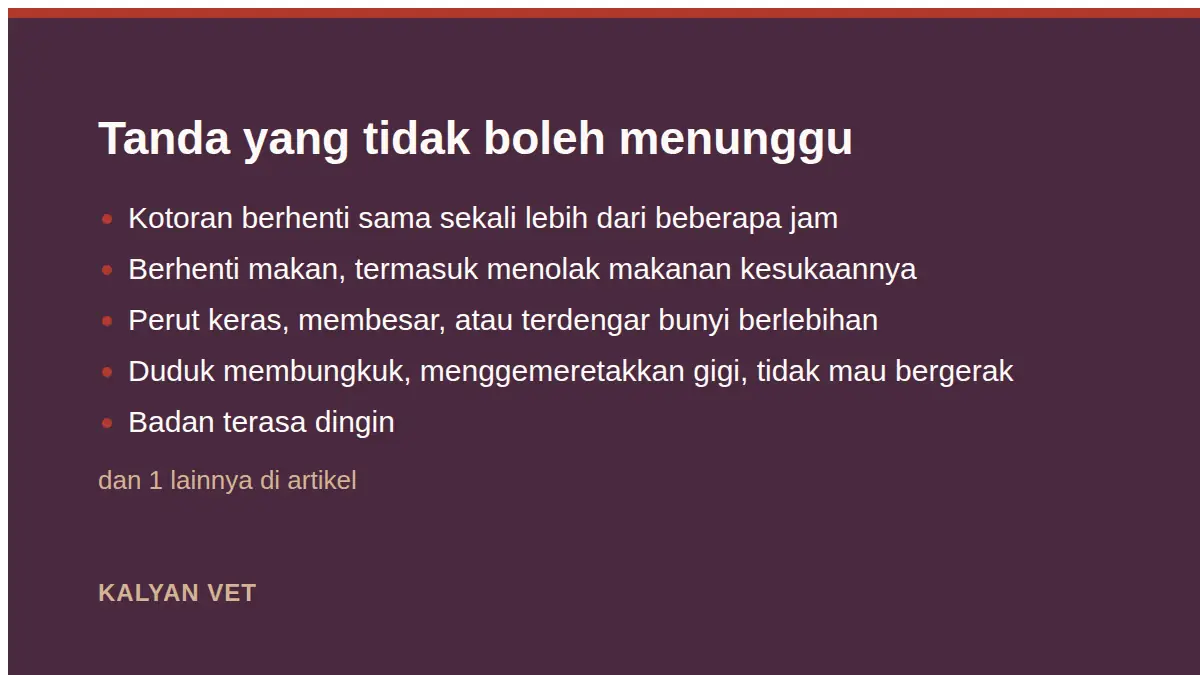 Tanda yang tidak boleh menunggu pada Kelinci mencret, keadaan yang paling sering terlambat ditangani