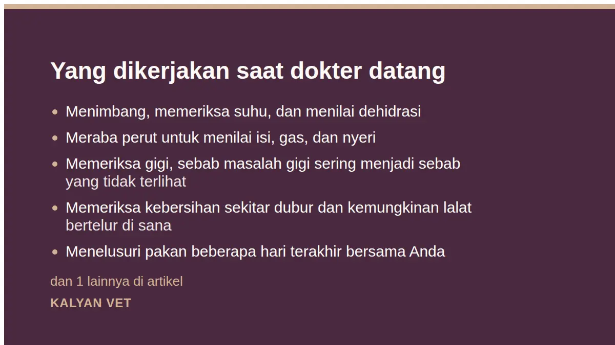 Yang dikerjakan saat dokter datang pada Kelinci mencret, keadaan yang paling sering terlambat ditangani