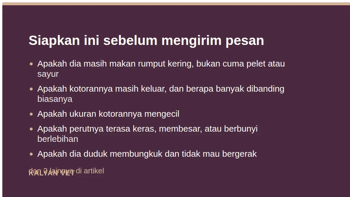Siapkan ini sebelum mengirim pesan pada Kelinci tidak mau makan, dan kenapa ini lebih mendesak daripada pada kucing
