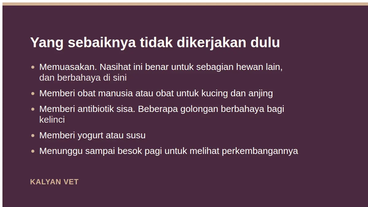 Yang sebaiknya tidak dikerjakan dulu pada Kelinci tidak mau makan, dan kenapa ini lebih mendesak daripada pada kucing