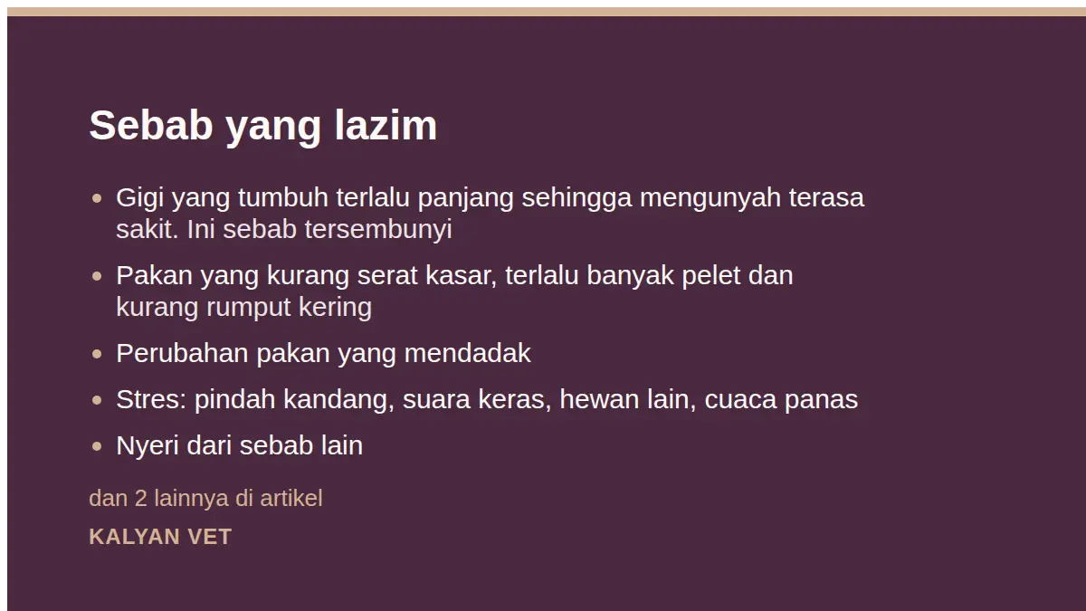 Sebab yang lazim pada Kelinci tidak mau makan, dan kenapa ini lebih mendesak daripada pada kucing